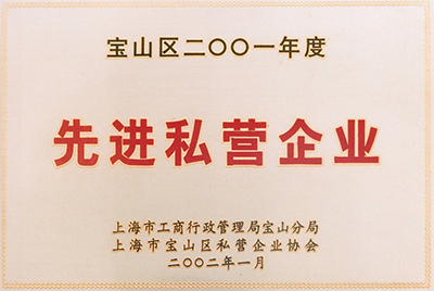 先进私营企业
